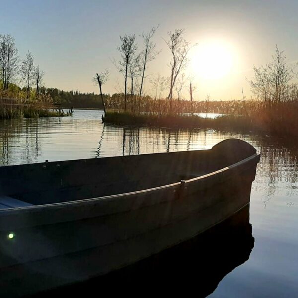 Rowing boats in Alūksne, Latvia