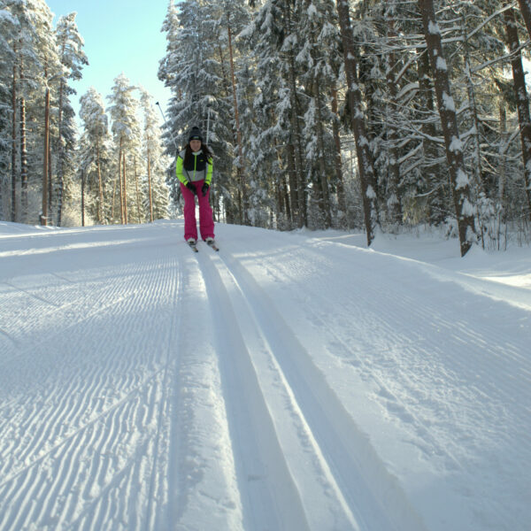 Distanču slēpošana Latvijā