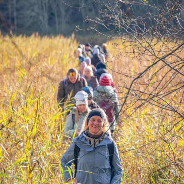 Peļļu dabas taka Veclaicenē