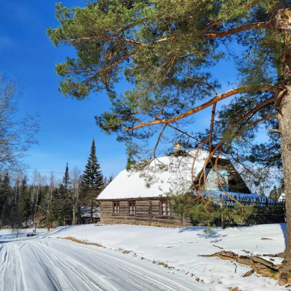 Vidzemes lauku sēta