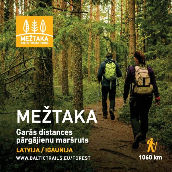Forest trail | Long-distance hiking trail in Latvia / Estonia
