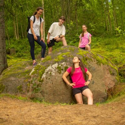 Palpiera naudas akmens