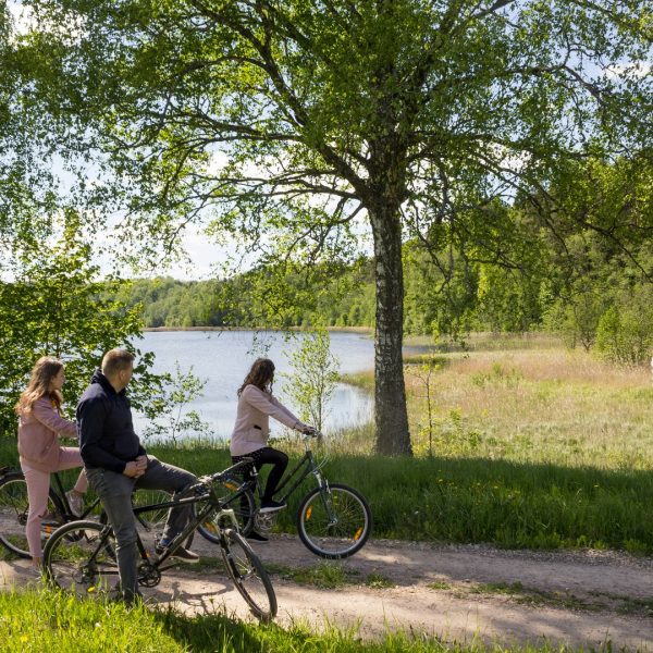 Cycle route in Borderland Estonia - Latvia