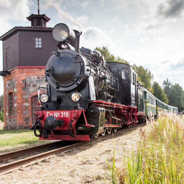 Steam locomotive at Ferdinand Paparde station
