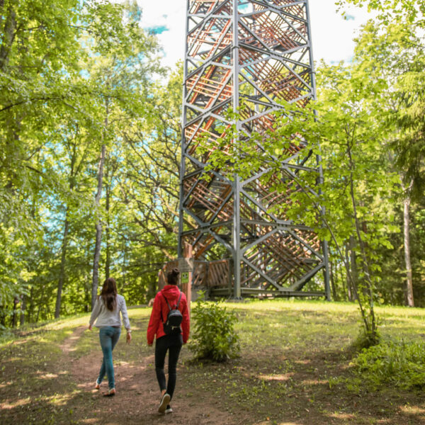 Kornetu skatu tornis