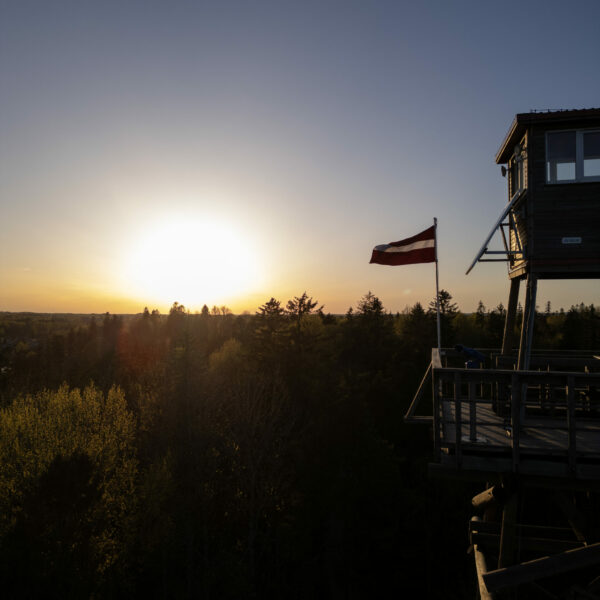 Alūksnes skatu tornis