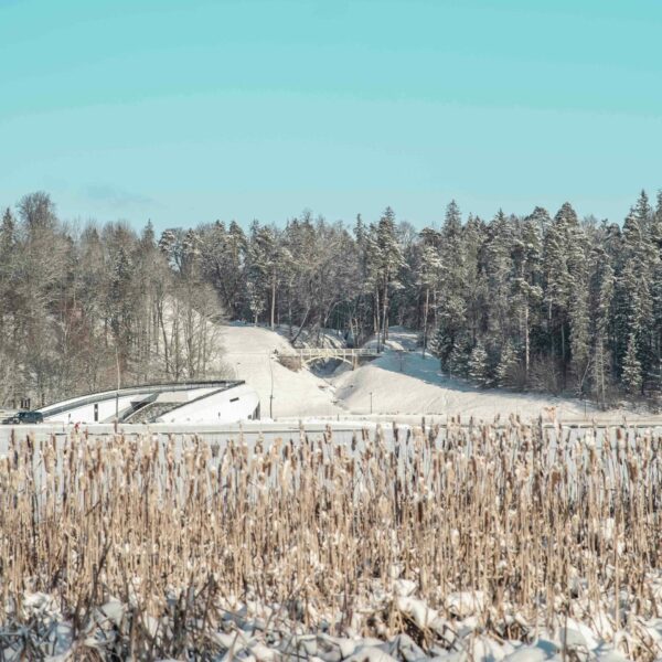 Tempļakalna parks foto Ainārs Cekuls