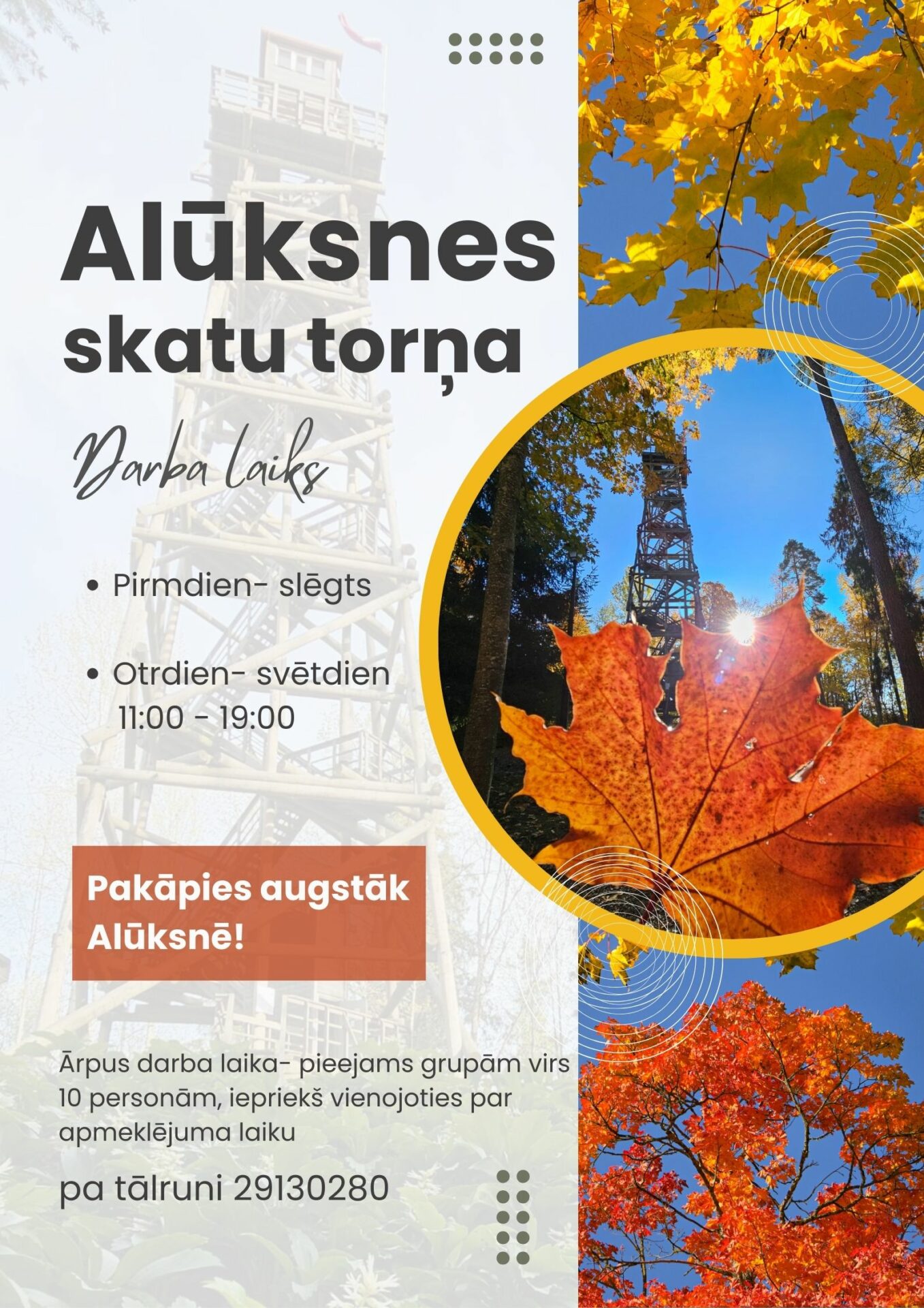Alūksnes skatu tornis