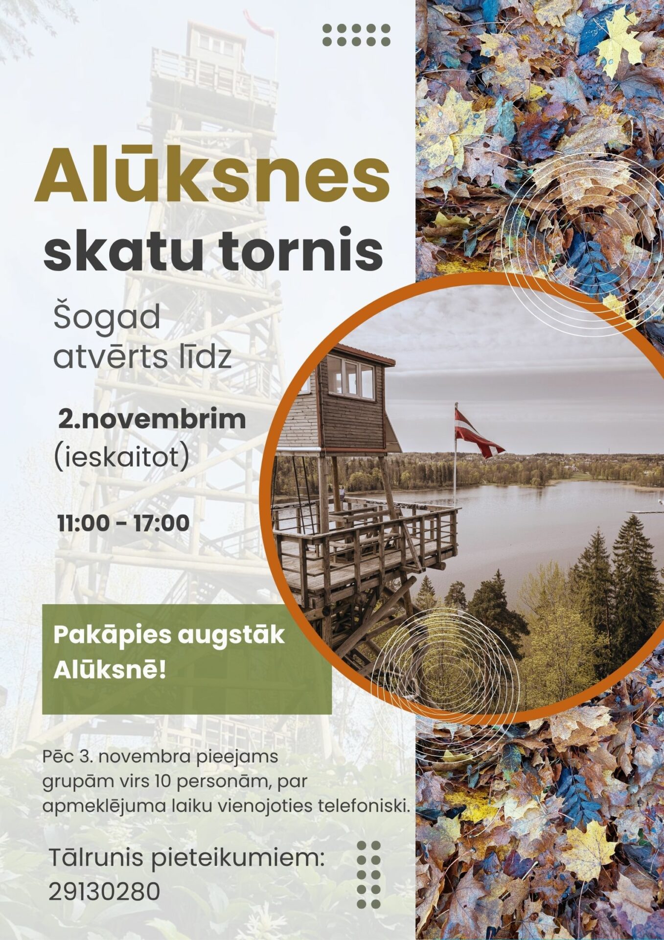 Alūksnes skatu tornis