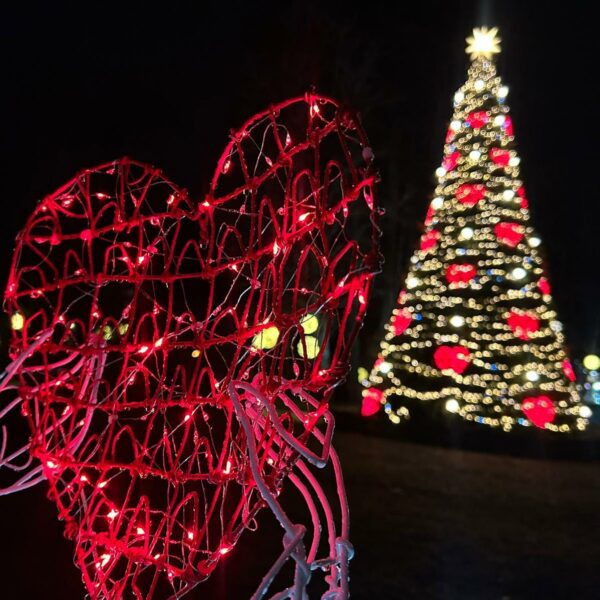 Ziemassvētki Alūksnē