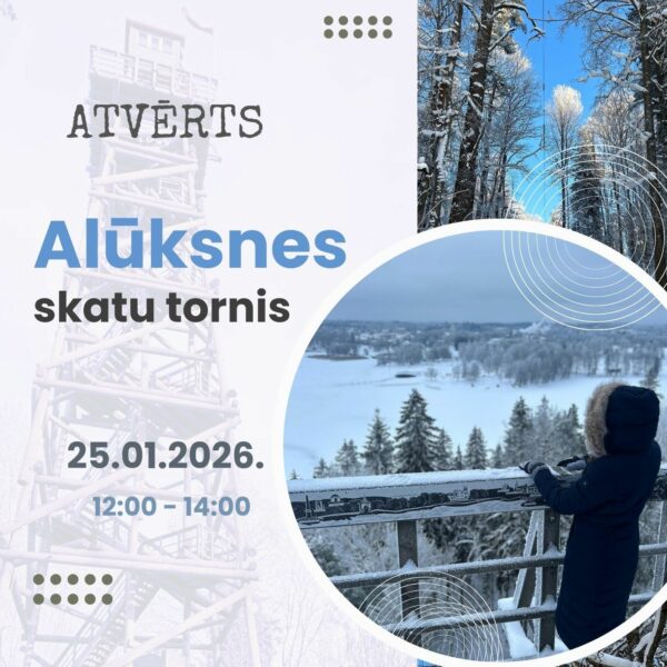 Alūksnes skatu tornis