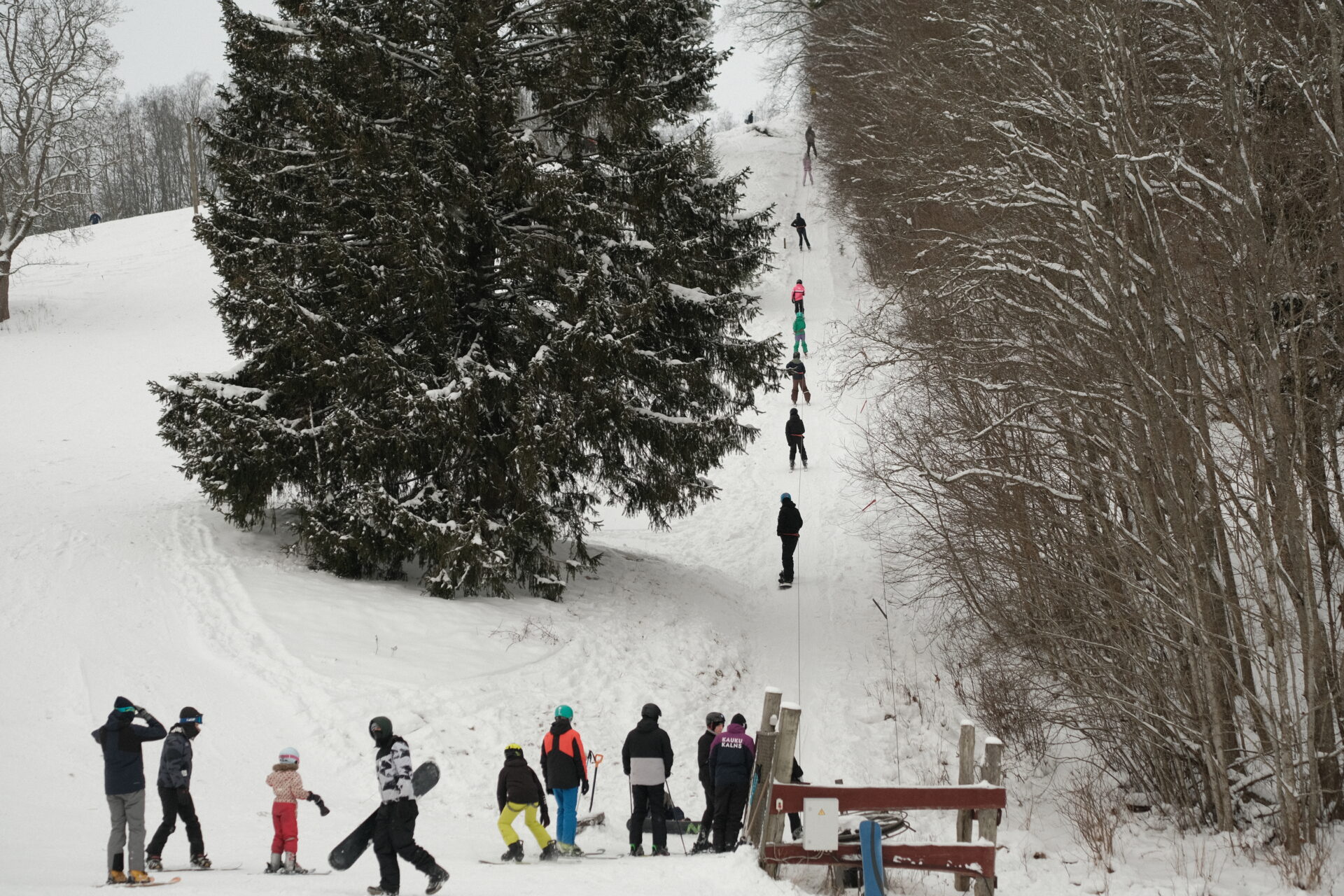 Kalnu slēpošanas trases Vidzemē