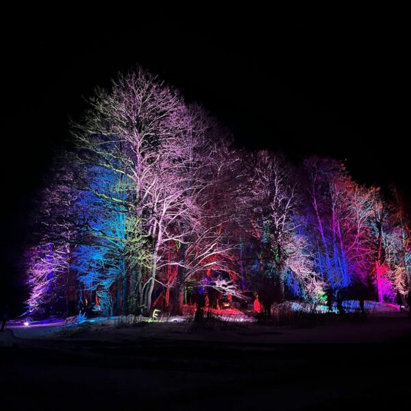 Alūksnes ezera salas