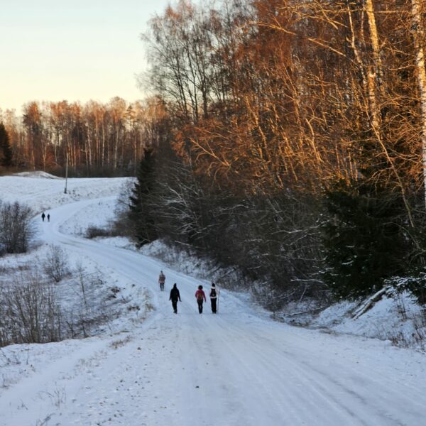 veclaicene ziema anita