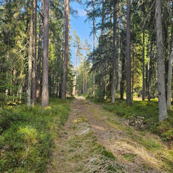 c24a1379-6b62-4d81-b363-f3486feee5c5