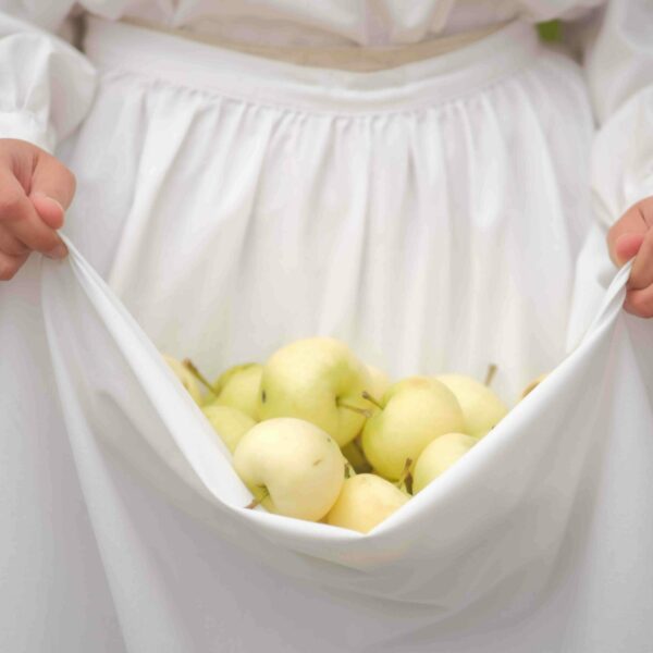 Pļaujas svētki Ottesmuižā